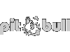Pit Bull