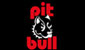 Pit Bull Stands