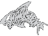 Sharkskinz Bodywork